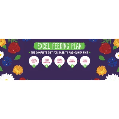 Excel Feeding Plan: The complete nutrition for rabbits and guinea pigs. 1. Excel Feeding Hay, 2. Excel Tasty Nuggets, 3. Excel Nature Snacks, 4. Fresh greens, 5. Fresh water. Excel Feeding Plan: The complete nutrition for rabbits and guinea pigs. 1. Excel Feeding Hay, 2. Excel Tasty Nuggets, 3. Excel Nature Snacks, 4. Fresh greens, 5. Fresh water.