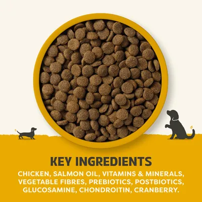 Main ingredients: chicken, salmon oil, vitamins and minerals, plant fibres, prebiotics, postbiotics, glucosamine, chondroitin, cranberries. Main ingredients: chicken, salmon oil, vitamins and minerals, plant fibres, prebiotics, postbiotics, glucosamine, chondroitin, cranberries.