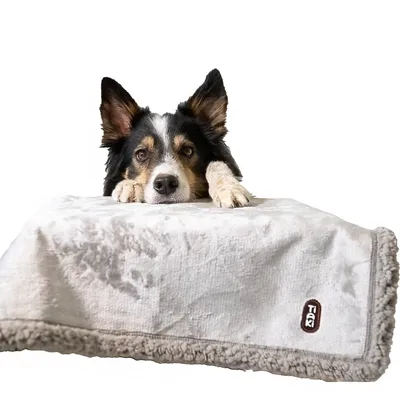 Chien allongé sur une couverture grise en tissu avec bordure en fausse fourrure, étiquette visible portant le nom TIAKI.