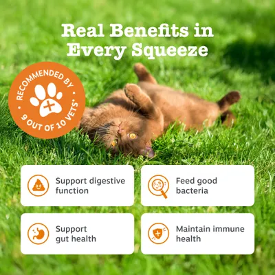 Zesty Paws Cat Digestion Paste
