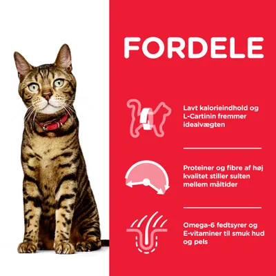FORDELE: Lavt kalorieindhold og L-Carnitin fremmer idealvægten. Proteiner og fibre af høj kvalitet stiller sulten mellem måltider. Omega-6 fedtsyrer og E-vitaminer til hud og pels.