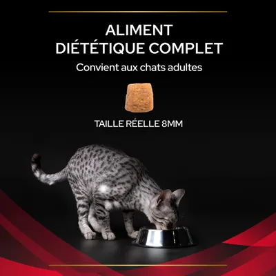 ALIMENT DIÉTÉTIQUE COMPLET, convient aux chats adultes, taille réelle de la croquette 8 mm, chat gris tacheté mangeant dans une gamelle en métal.
