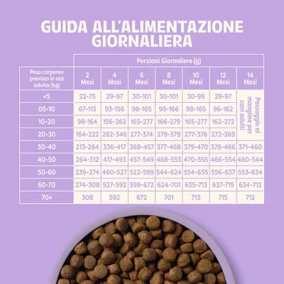 Tabella di alimentazione: porzioni giornaliere consigliate in grammi in base al peso corporeo e all’età da 2 a 14 mesi, incluso il passaggio al cibo per adulti. Tabella di alimentazione: porzioni giornaliere consigliate in grammi in base al peso corporeo e all’età da 2 a 14 mesi, incluso il passaggio al cibo per adulti.