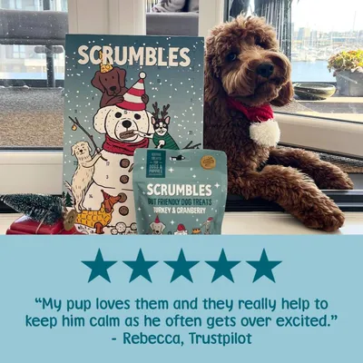 Scrumbles Dog Advent Calendar 2025