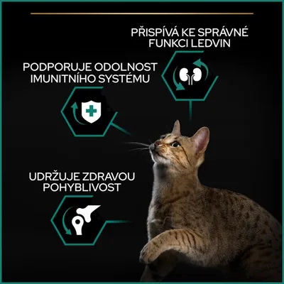 Text: Přispívá ke správné funkci ledvin, Podporuje odolnost imunitního systému, Udržuje zdravou pohyblivost. Obrázek kočky a tři ikonky s těmito tvrzeními.