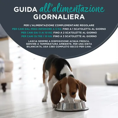 Provalo! Set misto Encore Pâté Fresh Selection Alimento umido per cani