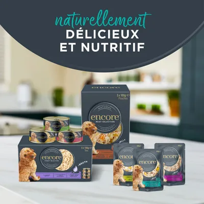 Lot mixte Encore en bouillon 5 x 156 g boîtes pour chien