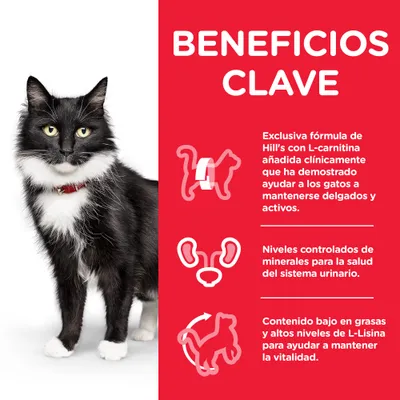 Beneficios clave: fórmula de Hill’s con L-carnitina para gatos delgados y activos, minerales controlados para salud urinaria, bajo en grasas y L-lisina para mantener vitalidad.