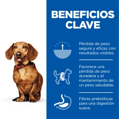 Beneficios clave: pérdida de peso segura y eficaz, favorece el mantenimiento de un peso saludable, fibras prebióticas para una digestión suave. Imagen de perro pequeño con collar rojo.