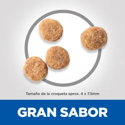 Cuatro croquetas redondas de pienso. Texto: Tamaño de la croqueta aprox. 4 x 7,5 mm. GRAN SABOR.