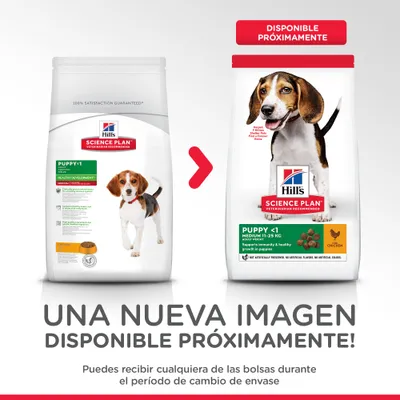Cambio de envase: Hill's Science Plan Puppy <1 Medium 11–25 kg, pollo. Puede recibirse cualquiera de las bolsas durante el periodo de cambio de envase. Disponible próximamente.