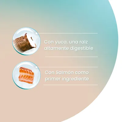 Con yuca, una raíz altamente digestible. Con salmón como primer ingrediente.