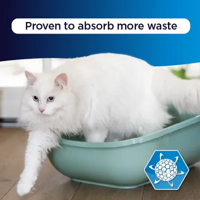 Ever Clean® Senior Cat Clumping Cat Litter - Scented