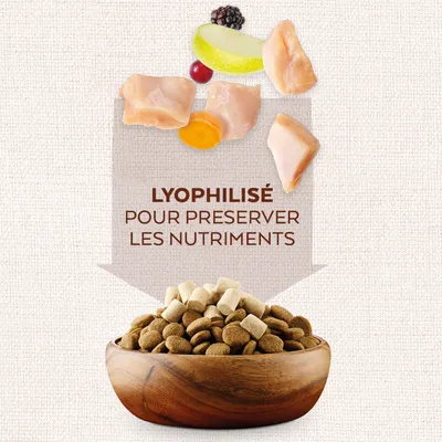 Texte : Lyophilisé pour préserver les nutriments. Morceaux de viande, fruits et légumes au-dessus d'une gamelle de croquettes avec cubes lyophilisés visibles.
