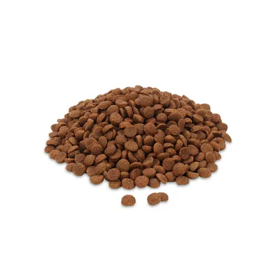 Croquettes brunes en forme de petites pastilles, présentées en tas sur fond blanc. Aucun emballage ni marque visible.