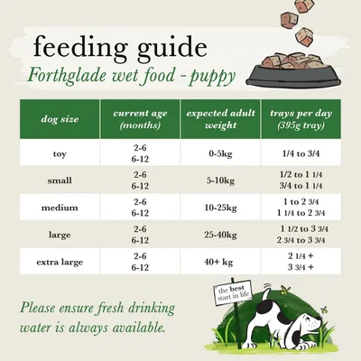 Feeding guide for Forthglade wet food puppy: tray amounts per day by dog size, age and expected adult weight. Includes reminder to always provide fresh drinking water.