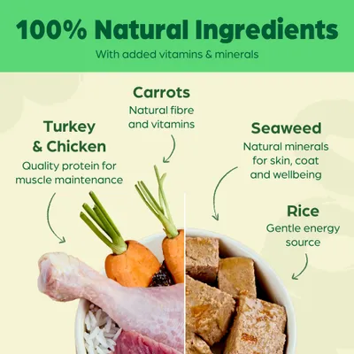 Naturediet Feel Good Adult - Turkey & Chicken - Saver Pack: 36 x 390g Naturediet Feel Good Adult - Turkey & Chicken - Saver Pack: 36 x 390g