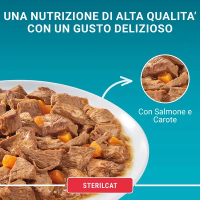 Una nutrizione di alta qualità con un gusto delizioso. Con salmone e carote. Sterilcat.