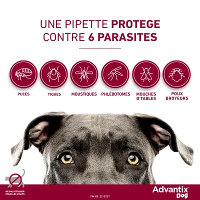 Advantix® grand chien, de 25 kg à 40 kg