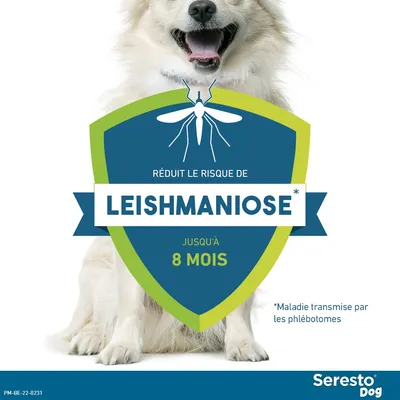 Collier antiparasitaire Seresto® pour petit chien (≤ 8 kg)