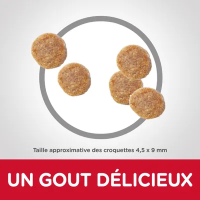 Taille approximative des croquettes 4,5 × 9 mm. Texte : UN GOUT DÉLICIEUX
