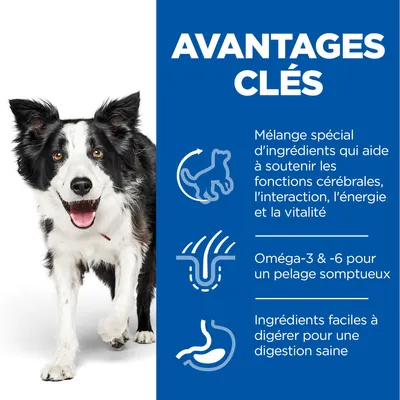AVANTAGES CLÉS : Mélange spécial d’ingrédients pour fonctions cérébrales, interaction, énergie, vitalité. Oméga-3 & -6 pour pelage. Ingrédients faciles à digérer pour digestion saine.