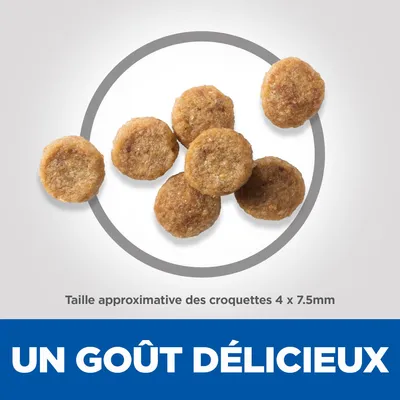 Taille approximative des croquettes 4 x 7,5 mm. Texte visible : UN GOÛT DÉLICIEUX.