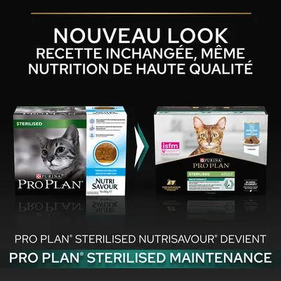 Texte : Nouveau look, recette inchangée, même nutrition de haute qualité. Pro Plan Sterilised Nutrisavour devient Pro Plan Sterilised Maintenance. Images des deux emballages visibles.