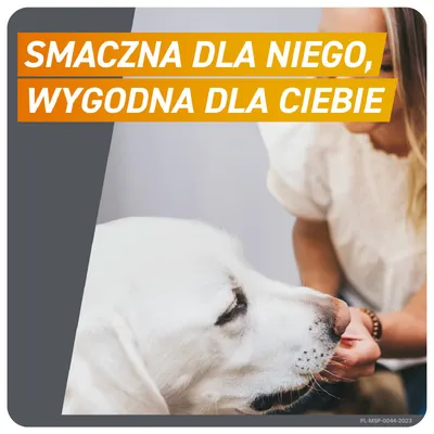 FRONTPRO® tabletki na pchły i kleszcze dla psów