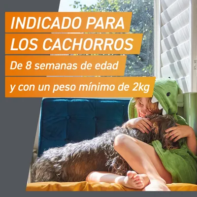 Apto para cachorros a partir de 8 semanas y con un peso mínimo de 2 kg.