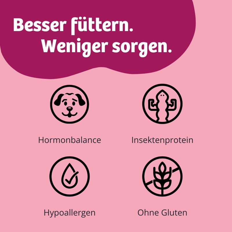 BugBell BugKeks Adult Insekten, Cranberry und Käse