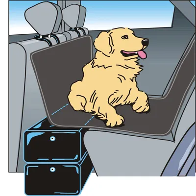 Illustration av hund som sitter på baksätet i en bil med skyddande överdrag och två svarta lådor placerade på golvet framför sätet.