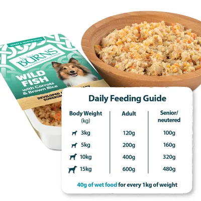 Daily feeding guide showing recommended wet food amounts by body weight: 3kg, 5kg, 10kg, 15kg for adult and senior pets. 40g of wet food per 1kg of weight.