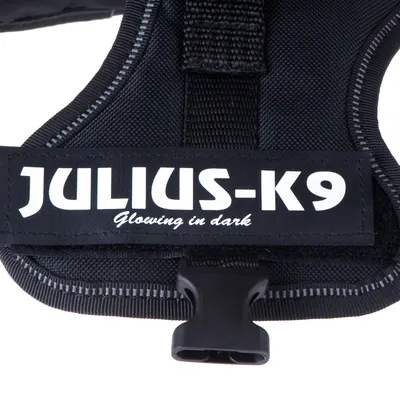 Julius-K9 harness with 'Glowing in dark' lettering, black design and reflective elements.