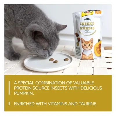 GimCat rovarral és tökkel, fehérjében gazdag. Rovarok és tök kombinációja, vitaminokkal és taurinnal dúsítva. Hozzáadott cukor és mesterséges aromák nélkül.