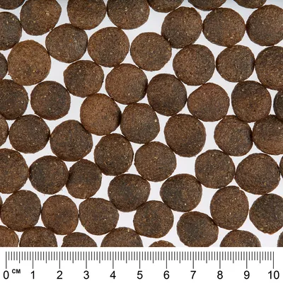 Detailný záber na hnedé, okrúhle kúsky suchého krmiva s mierkou v centimetroch dole na určenie veľkosti.