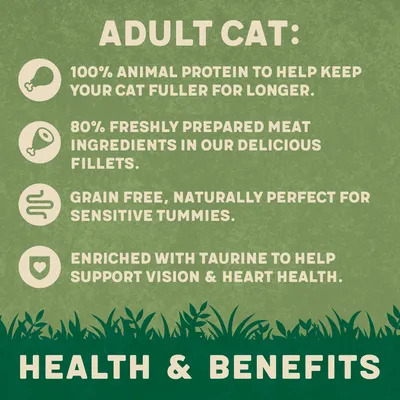 Adult cat food benefits: 100% animal protein, 80% freshly prepared meat fillets, grain free for sensitive tummies, enriched with taurine for vision and heart health.