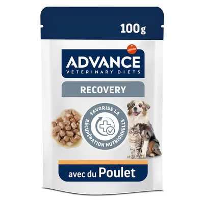 ADVANCE Veterinary Diets Recovery au poulet, 100 g. Favorise la récupération nutritionnelle. ADVANCE Veterinary Diets Recovery au poulet, 100 g. Favorise la récupération nutritionnelle.