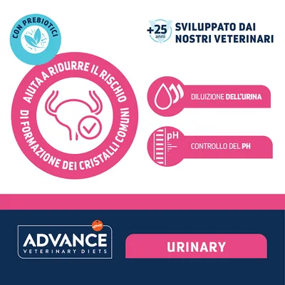 Advance Veterinary Diets Cat Urinary Alimento umido per gatti