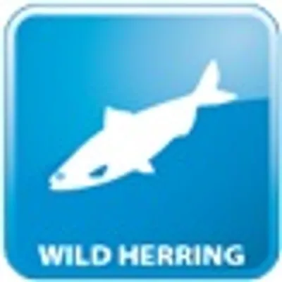WILD HERRING (αγγλικά) – εικονίδιο με ψάρι σε μπλε φόντο. Το κείμενο εμφανίζεται μόνο στα αγγλικά στην εικόνα.