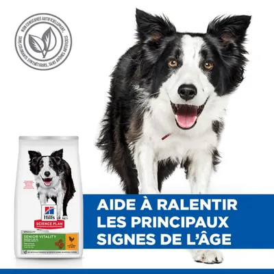 Hill's Science Plan Senior Vitality nourriture pour chien, Texte : Aide à ralentir les principaux signes de vieillissement. Sans conservateurs, colorants ou arômes artificiels.