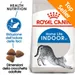 Royal Canin Indoor 27 Crocchette per gatti