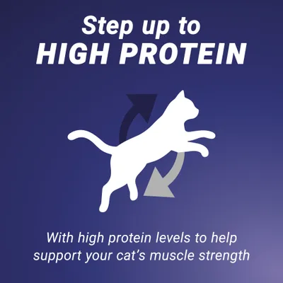 PURINA ONE High Protein Rich in Chicken - 650g PURINA ONE High Protein Rich in Chicken - 650g