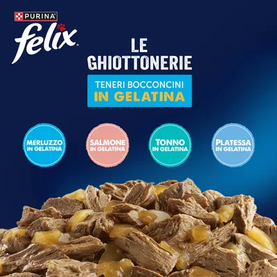 Maxi formato: Felix Le Ghiottonerie 120 x 85 g - Varietà di pesce 2 (Tonno, Salmone, Merluzzo, Platessa) Maxi formato: Felix Le Ghiottonerie 120 x 85 g - Varietà di pesce 2 (Tonno, Salmone, Merluzzo, Platessa)