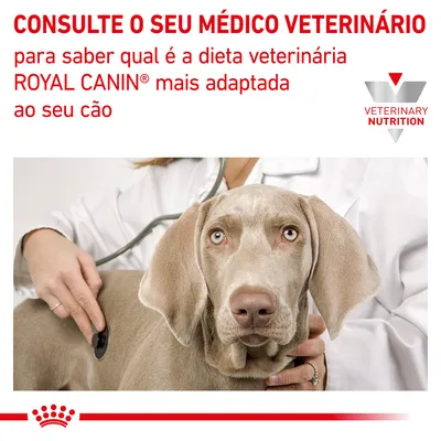 CONSULTE O SEU MÉDICO VETERINÁRIO para saber qual é a dieta veterinária ROYAL CANIN mais adaptada ao seu cão. VETERINARY NUTRITION.