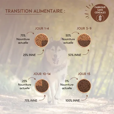 Transition alimentaire : jours 1–4, 75 % nourriture actuelle, 25 % INNE ; jours 5–9, 50 % de chaque ; jours 10–14, 25 % actuelle, 75 % INNE ; jour 15, 100 % INNE. Fabriqué sans céréales.