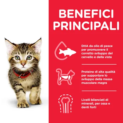 Benefici principali: DHA da olio di pesce per cervello e vista, proteine di alta qualità per massa muscolare magra, livelli bilanciati di minerali per ossa e denti forti. Immagine di un gattino.