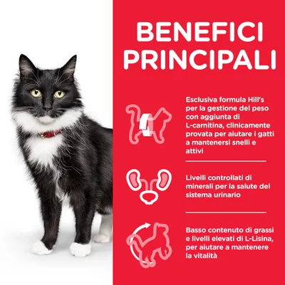 BENEFICI PRINCIPALI: esclusiva formula Hill’s per la gestione del peso, livelli controllati di minerali per il sistema urinario, basso contenuto di grassi e L-lisina elevata.