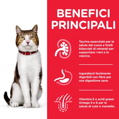 BENEFICI PRINCIPALI: taurina essenziale per cuore e reni, ingredienti digeribili con fibre, vitamina E e Omega-3 e 6 per cute e mantello. Testo in italiano.