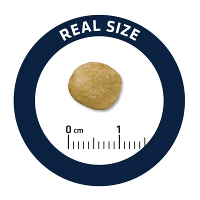 Гранула с реален размер, показана до скала в сантиметри от 0 до 1 см. Надпис на английски: REAL SIZE.